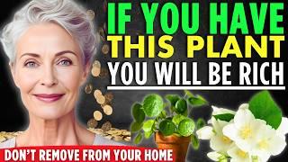 ️Get Rich Fast: Plants That Will Make You Rich!  - Law of Attraction