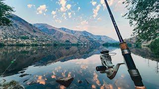 This Beautiful River is STACKED with Catfish! (Camping on the Great Catfish River)