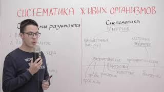 Систематика живых организмов