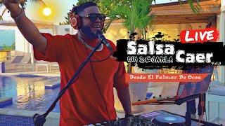 SALSA SIN DEJARLA CAER VOL 3  DESDE EL PALMAR DE OCOA  SUN ON THE BAY MIX LIVE DJ JOE CATADOR C15