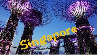 #SINGAPORE #FlowerDome #Supertreegrove Gardens By The Bay Singapore  Part 2