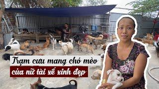 Trạm cưu mang chó mèo của nữ tài xế công nghệ xinh đẹp