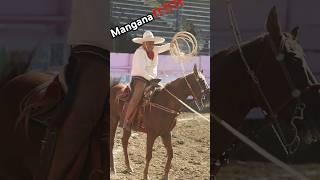 Mangana‼️ #ecproduction #charrería #explore #shorts #trending #mexico #cowboys