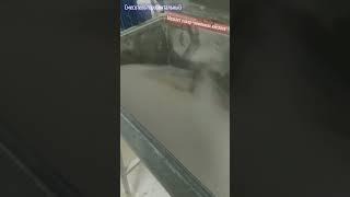 Смеситель горизонтальный "ГС-250" из нержавеющей стали. Видео от клиента.
