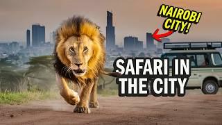 We visited Nairobi National Park for a Safari in Kenya in 2024! [4K | 11.ai]