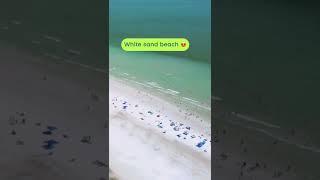 Lazy beach days #vacation #shorts #travel #florida #beach