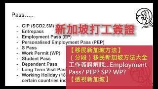 （分段）移民新加坡方法大全！工作簽證解說... Employment Pass...EP?  PEP?  SP? WP?【透視新加坡】