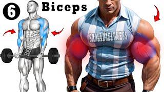 6 Perfect Biceps Workout