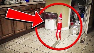 50 Elf on the shelf caught moving on camera walking & talking! 