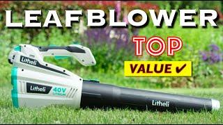 7 Top Rated Cordless BLOWERS