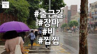 출근길 장마 비 (찝찝,서초동,갤럭시노트8,복피디TV)