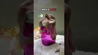 Can Marty the octopus get the super tight lid open?