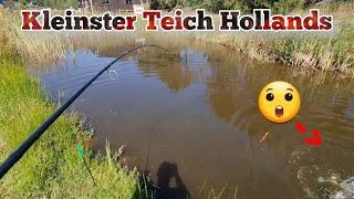 Angeln am kleinsten Aal Teich in Holland mit Riesen Überraschung #angeln #fishing #aaletagundnacht