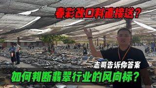 春彩改口料直接送？如何判斷翡翠行業風向標，志哥告訴你答案！#jade #玉 #赌石 #原石 #缅甸翡翠 #珠寶