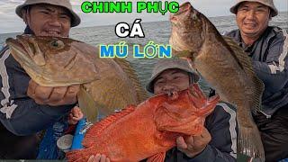 514) CHINH PHỤC ĐƯỢC LOÀI CÁ MÚ LỚN, Ở HÒN NƯỚC SÂU, MỪNG RUN LUÔN.