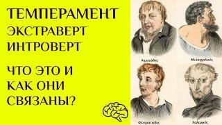 Темперамент: что это? И как он связан с экстравертами и интровертами.