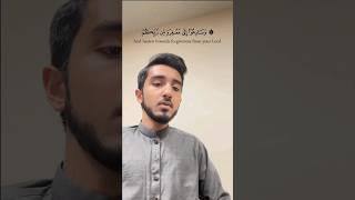 What a Beautiful Quran Recitation by Qari Muhammad Amin #quran #theholydvd @TheholyDVD