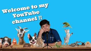 Welcome Pet Parents To My New Veterinary Advice Channel!