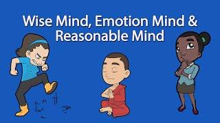 DBT Skills: Wise Mind, Emotional Mind & Reasonable Mind