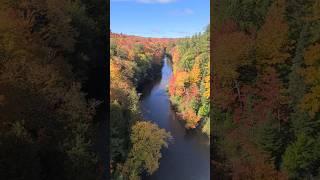 A Quick Look at the Fall Colors  #lifeintheup #lifeup