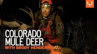 Colorado Mule Deer with Steve and Brody | MeatEater Season 7