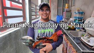 Paano Mag Katay ng Manok