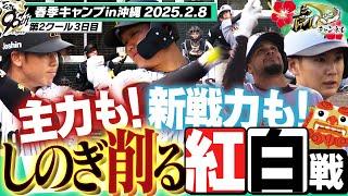 【キャンプ初実戦】紅白戦で主力が順調な仕上がりを見せる中、新戦力と若手が藤川監督へ猛アピール！！阪神タイガース密着！応援番組「虎バン」ABCテレビ公式チャンネル