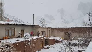 Cowgirl Life in Afghanistan: Two Sisters Herding Cows and Cooking Afghan Pilaf |Afghanistan village