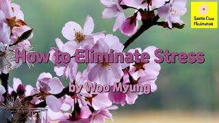 Master Woo Myung - Meditation Effect - How to Eliminate Stress | Santa Clara Meditation