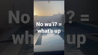 Pulaar lesson #7 | No wa’i? = what’s up | #shots #pulaar #pulaar_fulbe #fulani