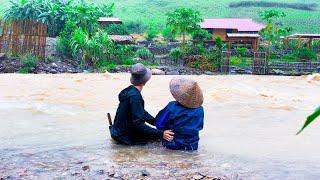 Rain, Flood, Farm Survive Spectacularly During Storm YAGI | Harvest fish and potatoes to sell