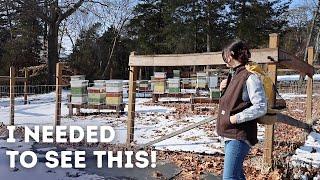 Honeybees, Garden Plan, & Apothecary Creations Vlog