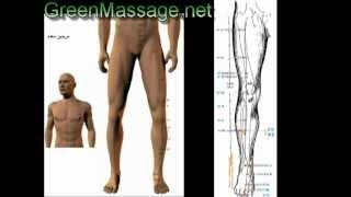 آموزش ماساژ شیاتسو shiatsu massage