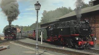 Zittau Narrow Gauge Railway | Steam and Diesel Trains (4K)