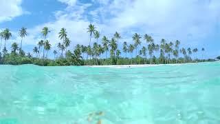 جزر المالديف - the maldive Islands