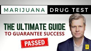 The ULTIMATE Marijuana Drug Test Video | Pass a Marijuana Drug Test & Remove of THC