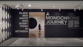 Black and White and Everything In Between: A Monochrome Journy