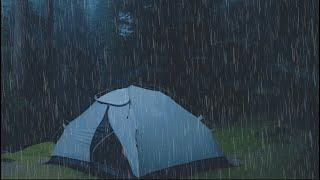 Ultimate Rainstorm Retreat: Experience Blissful Rain Sounds in a Cozy Tent! Without Thunder #83