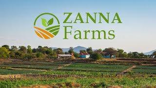 Steve the farmer -Zanna Farms