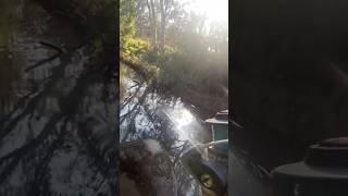 METCALFE ADVENTURE #fishing #trout #troutfishing #metcalfe