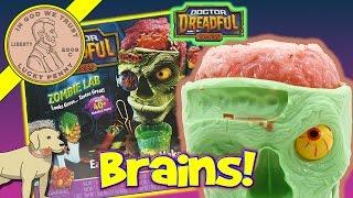 Doctor Dreadful Zombies Brain Lab Experiment Candy Set