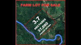 FARM LOT FOR SALE in TANAY, RIZAL