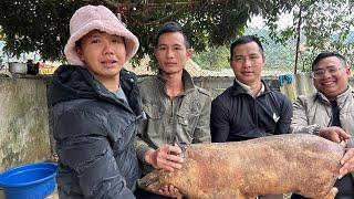 Lợn Bản Thui | Hoa Ban Tây Bắc Farm