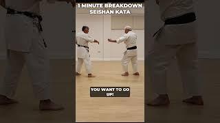 Seishan Kata: Rising strike, kick and defence #shorts