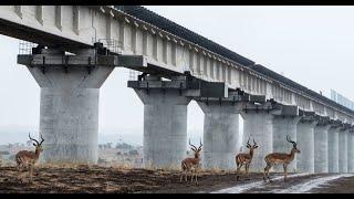 NAIROBI NATIONAL PARK// THE STANDARD GAUGE RAILWAY (SGR) AND WILDLIFE COEXISTENCE