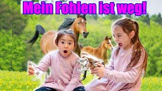 Mein Fohlen ist weg ! Spielen mit kleiner Schwester, Pferde, Puppe und Schleichtiere | Clarielle