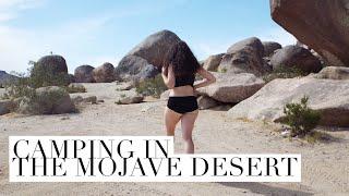 Camping in the Mojave Desert // Valentine Vlogs