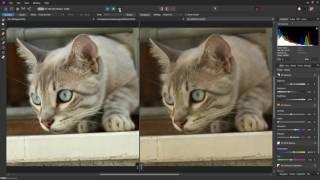 Affinity Photo - An Introduction to the Histogram and Scopes