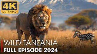 WILD TANZANIA | Lion Destroyed Whole Clan of Hyenas (FULL EPISODE) | Nature Animal Documentary