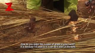 Bakan Gizo the making of Rattan for fence with Muhammad  1